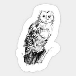 Barn Owl Art Sticker